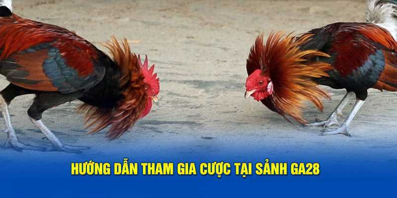 Hướng dẫn tham gia cược tại sảnh GA28